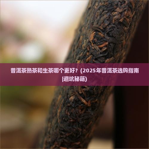 普洱茶是熟茶好还是生茶好啊