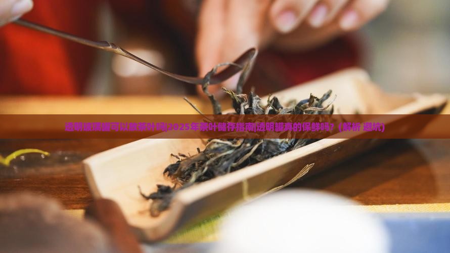 透明玻璃罐可以放茶叶吗