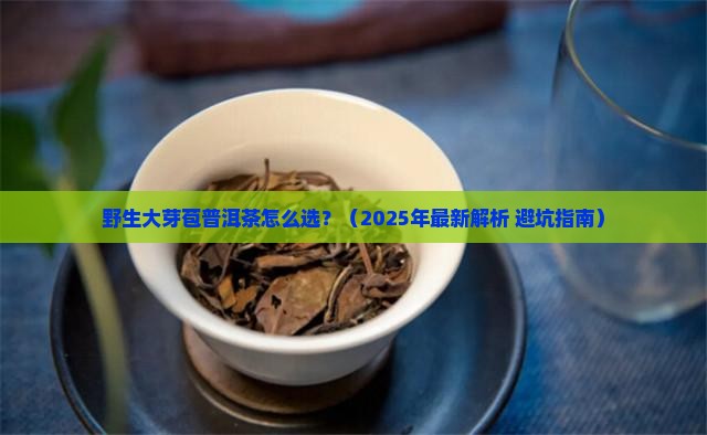 野生大芽苞普洱茶