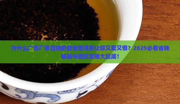 广西厂家直销的勐舍普洱茶