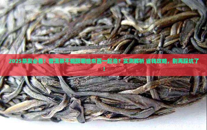 普洱茶不能跟什么同时泡