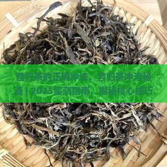 昔归茶的正确冲法