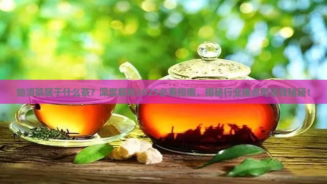 始清茶属于什么茶