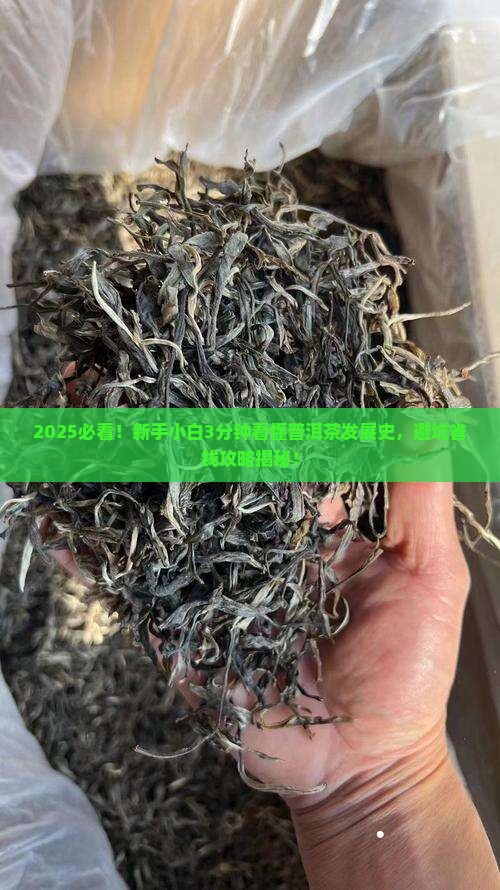 普洱茶发展时间表格