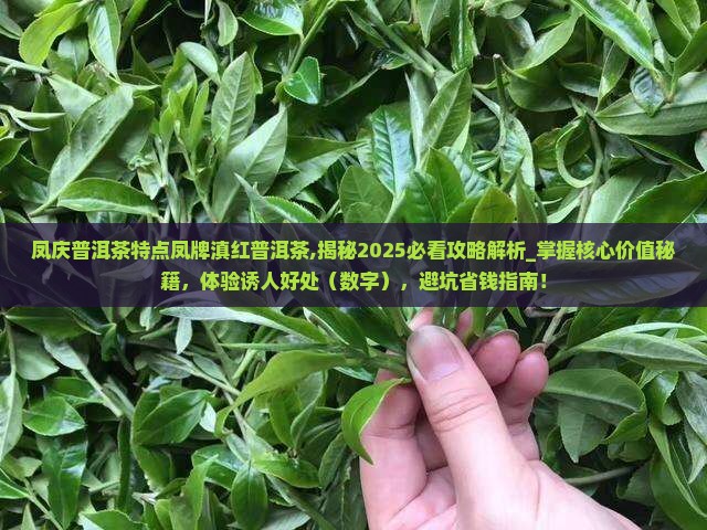 凤庆普洱茶特点凤牌滇红普洱茶
