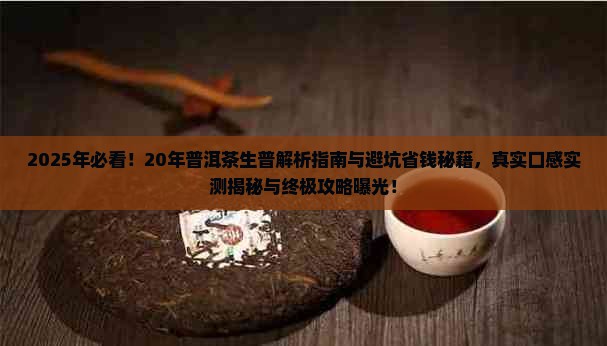 20年普洱茶生普
