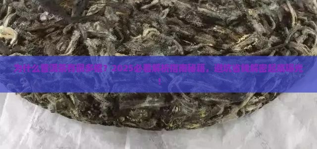 普洱茶有很多棍