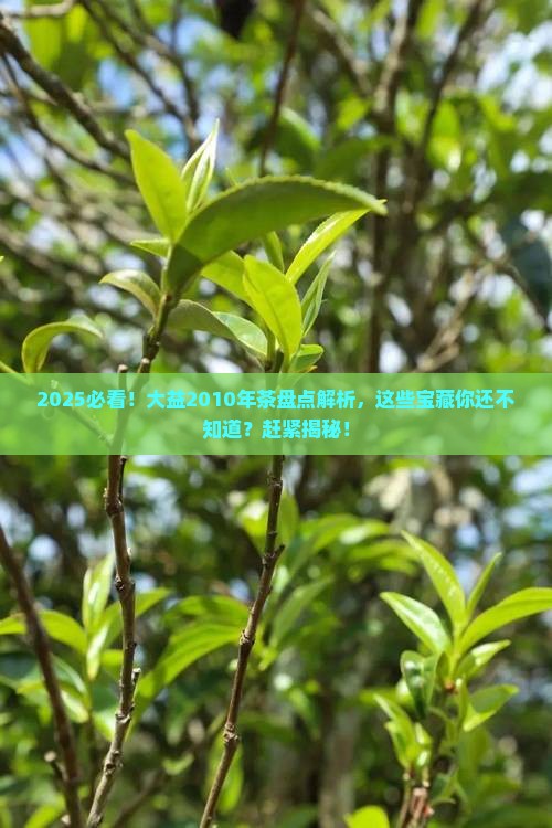 大益2010年有哪些茶