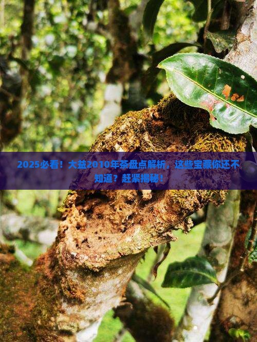 大益2010年有哪些茶