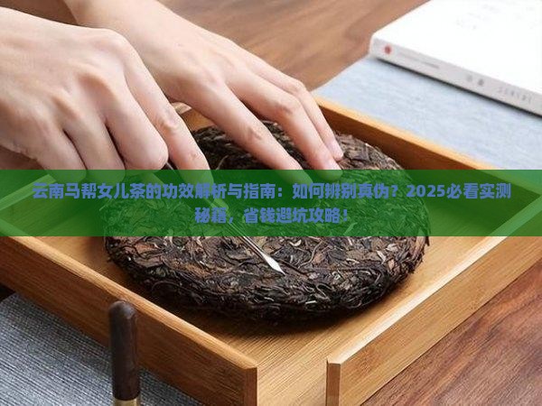 云南马帮女儿茶的功效