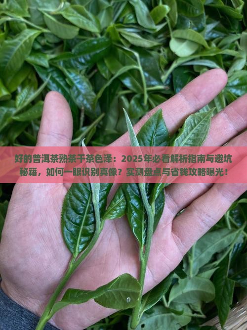 好的普洱茶熟茶干茶色泽