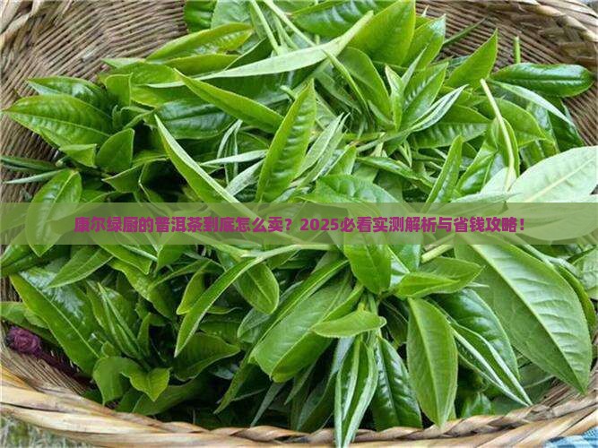 康尔绿厨的普洱茶怎么卖