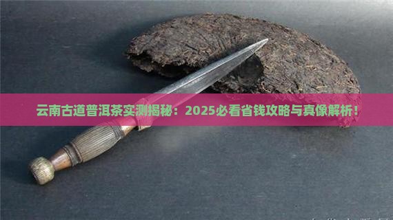 云南古道普洱茶