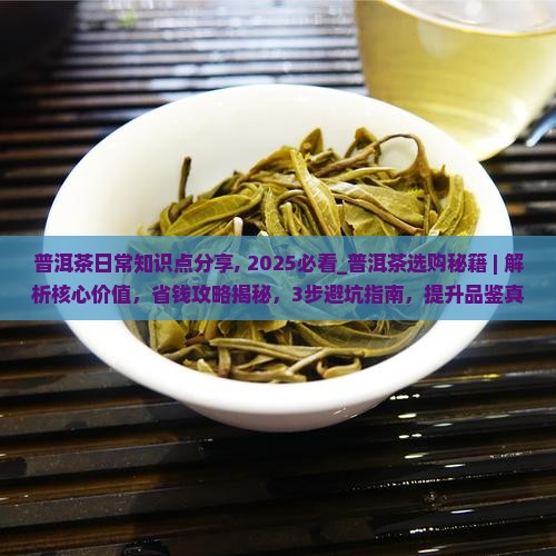普洱茶日常知识点分享