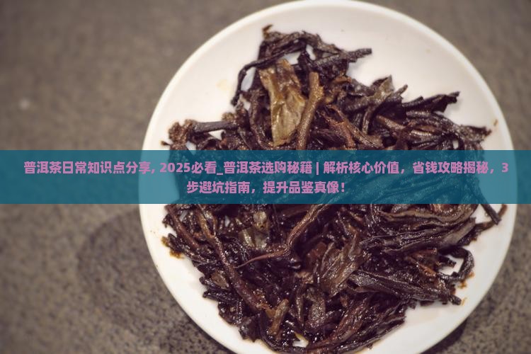 普洱茶日常知识点分享