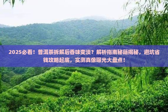 普洱茶拆解后香味变淡