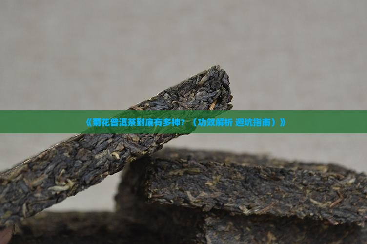 菊花普洱茶的功效是什么