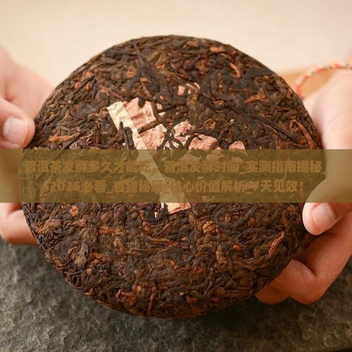 普洱茶发酵多久才能吃