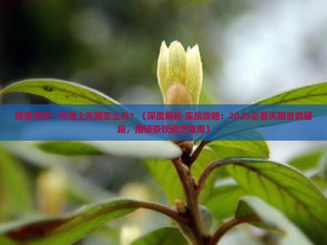 喝普洱茶一天晚上失眠怎么办