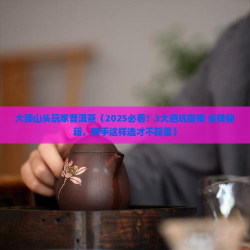 大臻山头玩家普洱茶