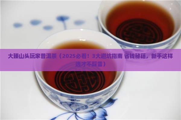 大臻山头玩家普洱茶