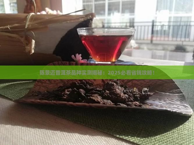 陈景迈普洱茶品种