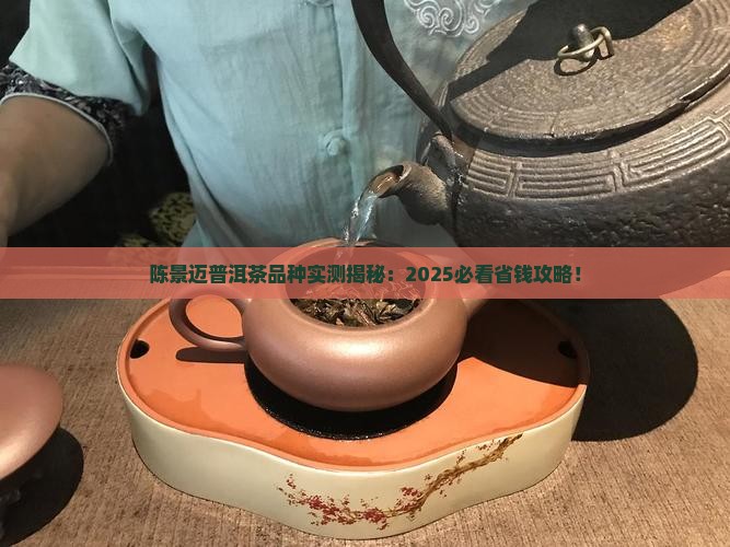 陈景迈普洱茶品种