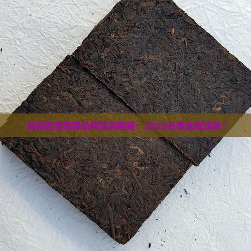 陈景迈普洱茶品种