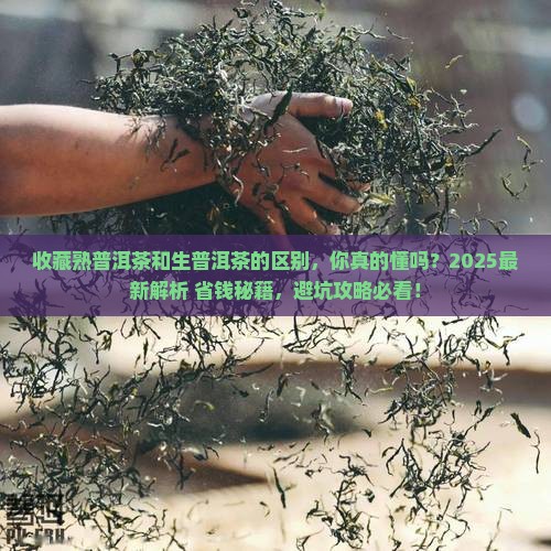 收藏熟普洱茶和生普洱茶的区别