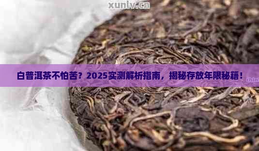 白普洱茶能放多少年不苦
