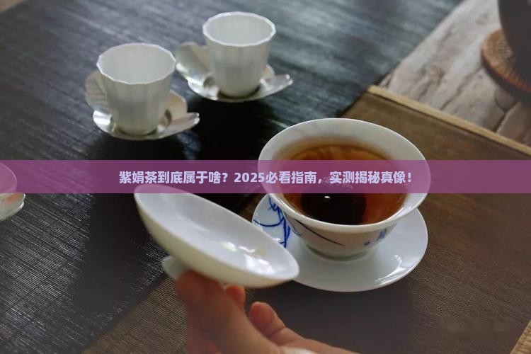 紫娟茶属于什么茶类