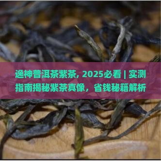 逸神普洱茶紫茶