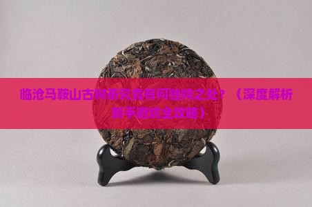 临沧马鞍山古树茶特点