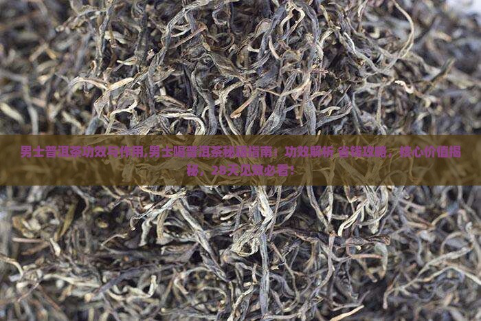 男士普洱茶功效与作用