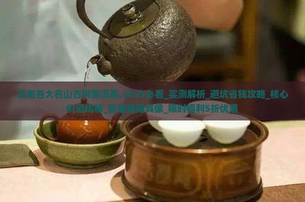 云南各大名山古树普洱茶