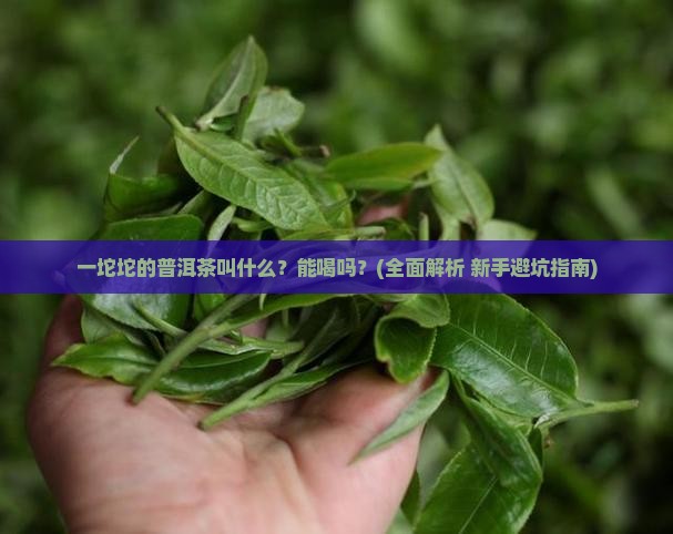 一坨坨的普洱茶