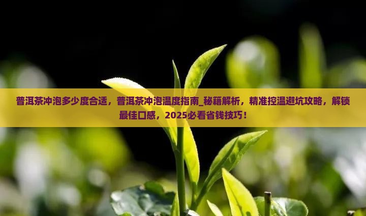普洱茶冲泡多少度合适