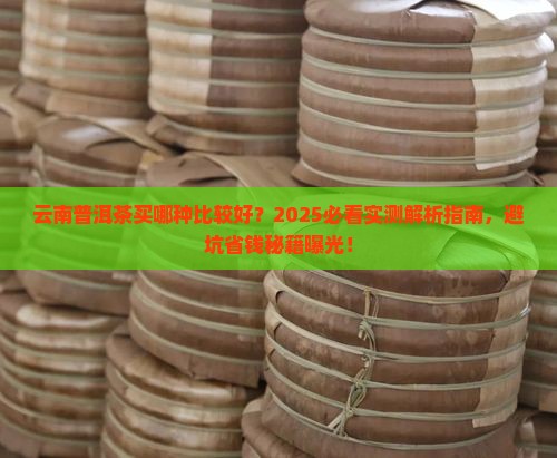 云南普洱茶买哪种比较好