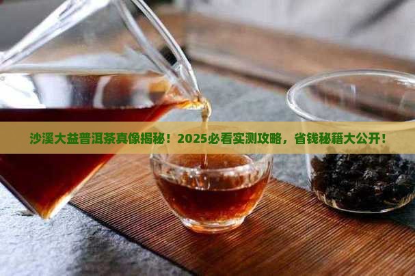 大益普洱茶沙溪 大益普洱茶沙溪