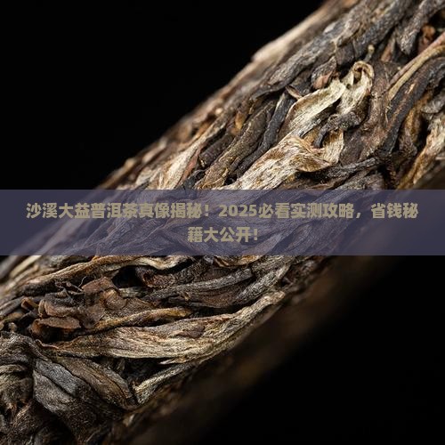 大益普洱茶沙溪 大益普洱茶沙溪