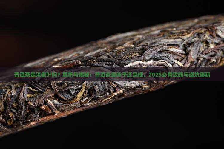 普洱茶是采老叶吗
