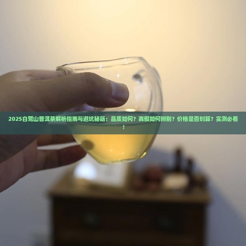 白莺山普洱茶怎么样