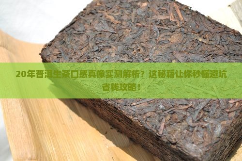 20年普洱生茶口感特点