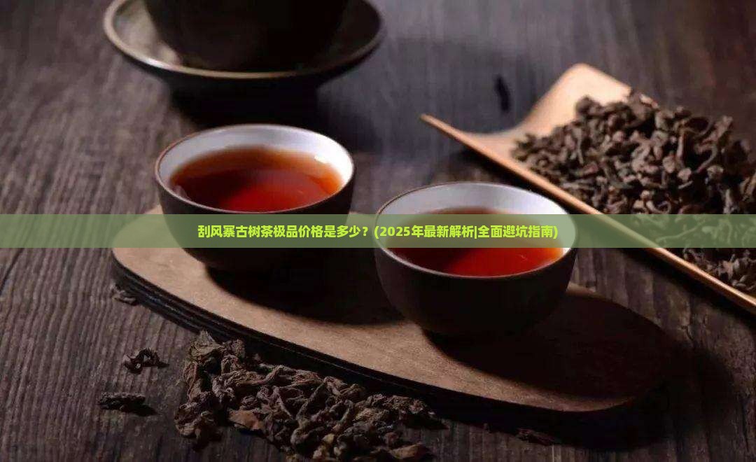 刮风寨古树茶极品价格