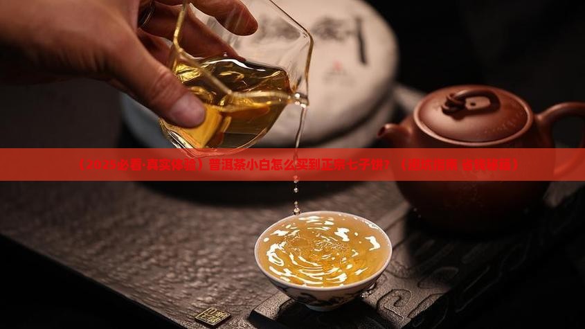 七子饼普洱茶哪购买正宗