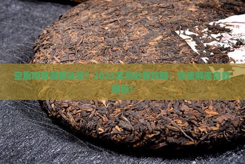 空腹喝普洱茶头晕怎么办