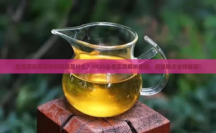 生普洱茶里絮状物