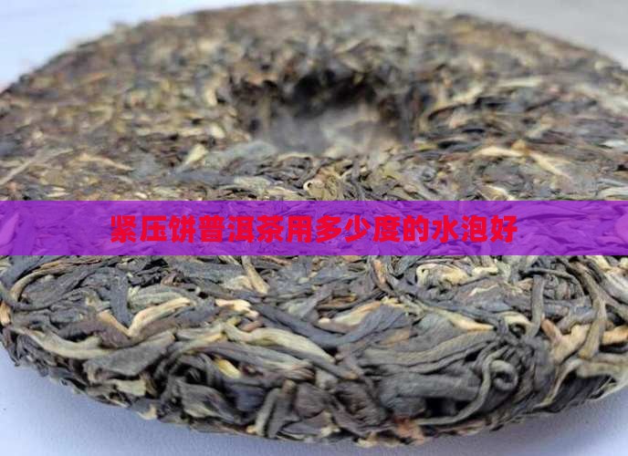 紧压饼普洱茶用多少度的水泡