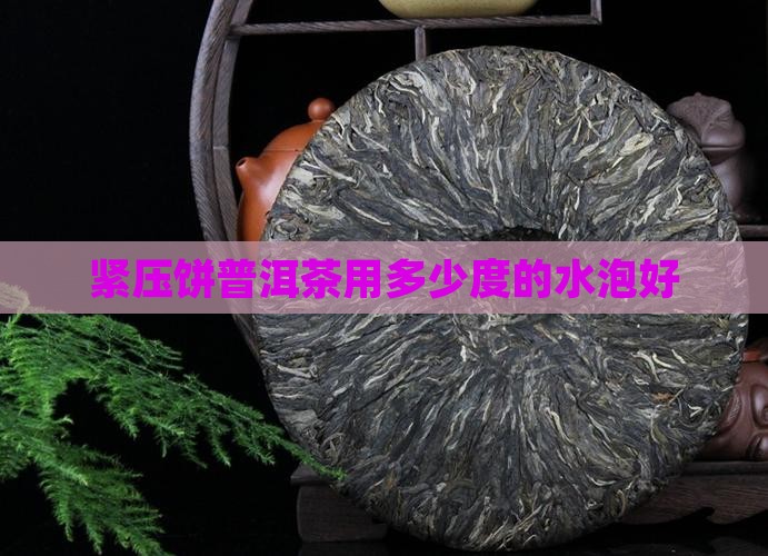 紧压饼普洱茶用多少度的水泡