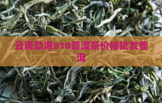 云南勐海810普洱茶